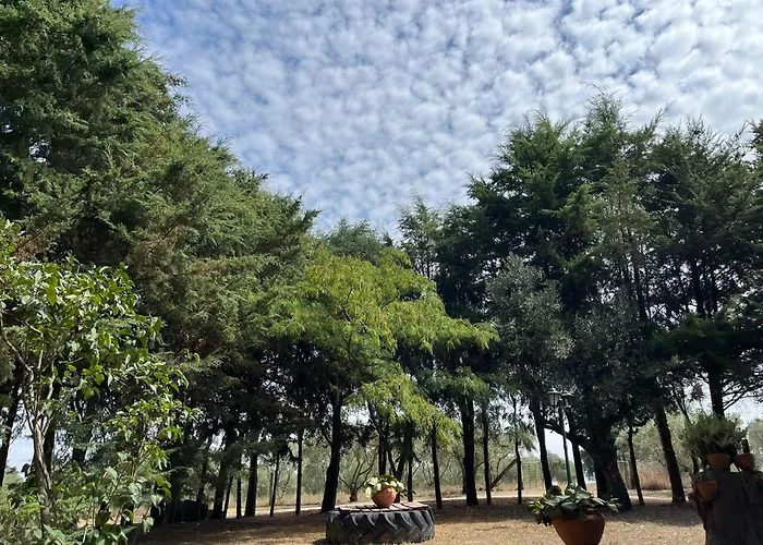 Quinta Santo Antonio Do Rio