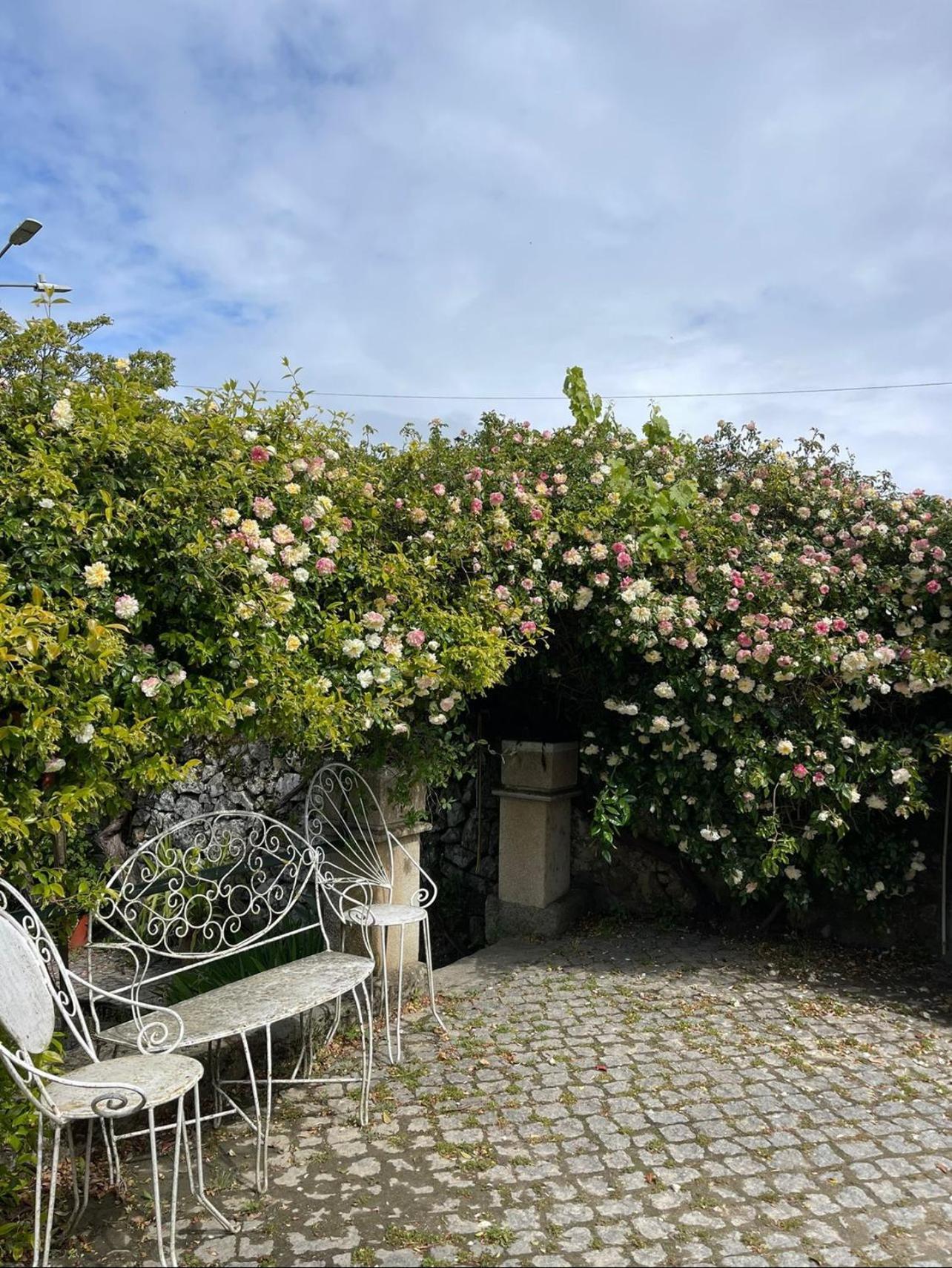 Quinta Santo Antonio Do Rio
