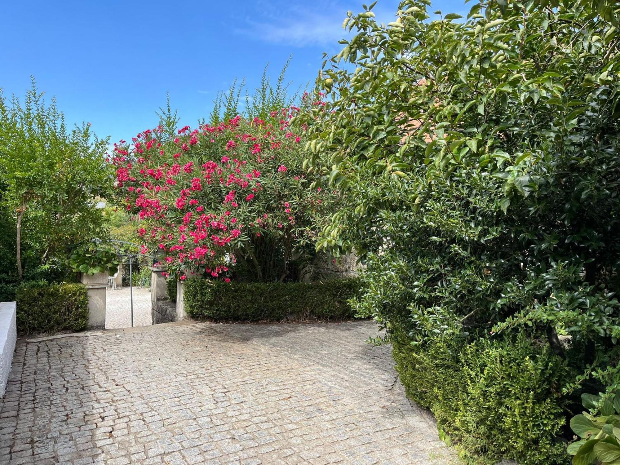Farm stay Quinta Santo Antonio Do Rio Celorico Da Beira