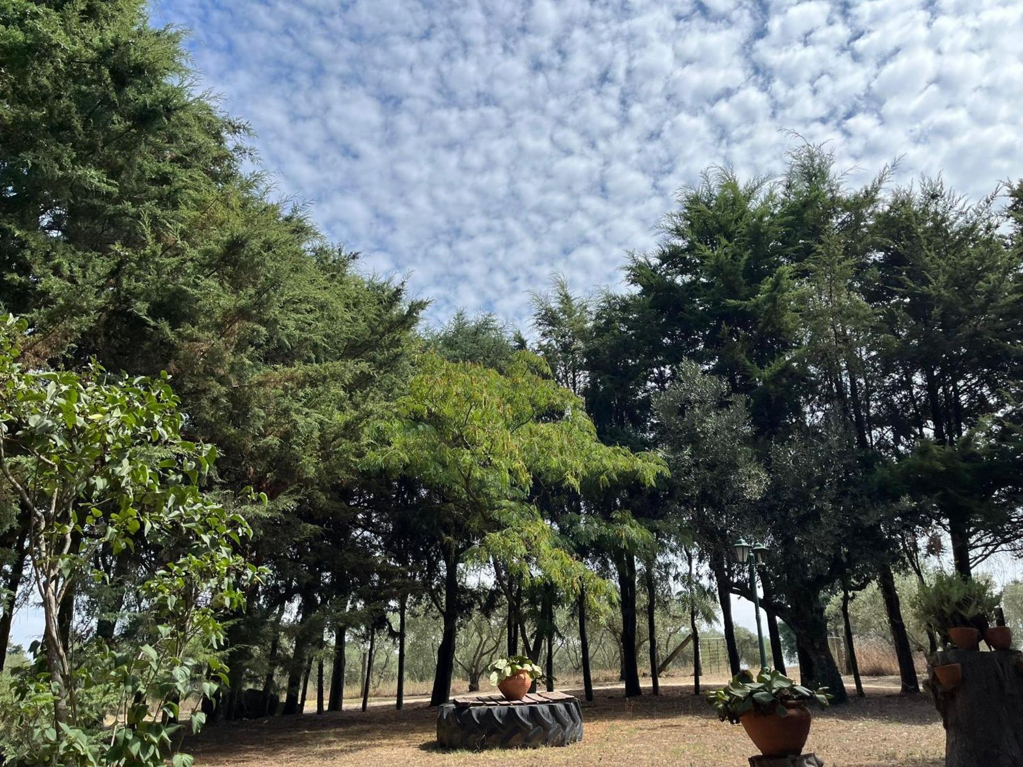 Farm stay Quinta Santo Antonio Do Rio Celorico Da Beira