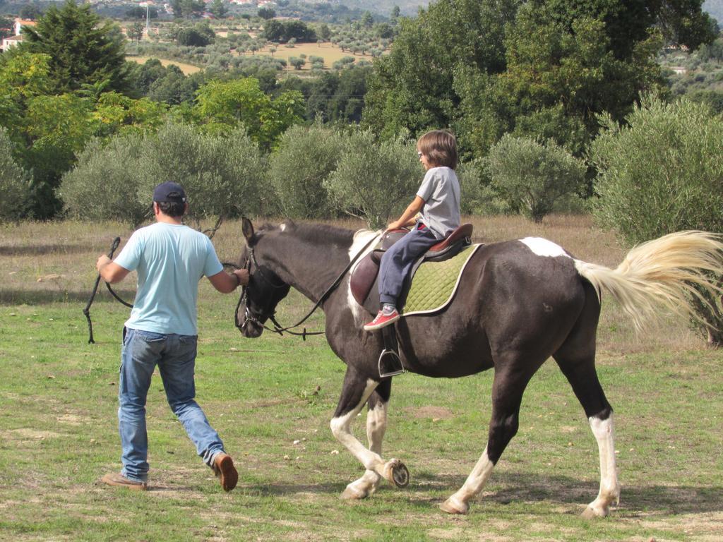 Farm stay Quinta Santo Antonio Do Rio Celorico Da Beira