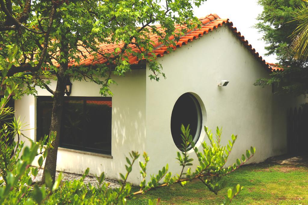 Quinta Santo Antonio Do Rio Séjour à la ferme Celorico Da Beira