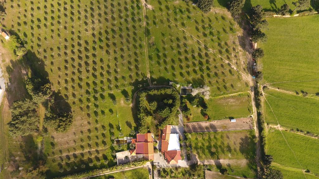Farm stay Quinta Santo Antonio Do Rio